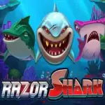 Razor Shark